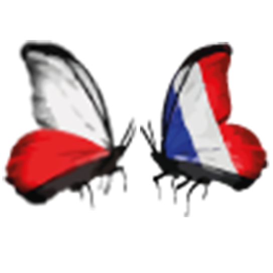 Agnieszka Traductions — Logo papillon